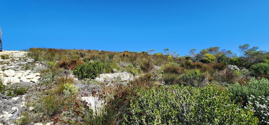 0 Bedroom Property for Sale in Struisbaai Western Cape